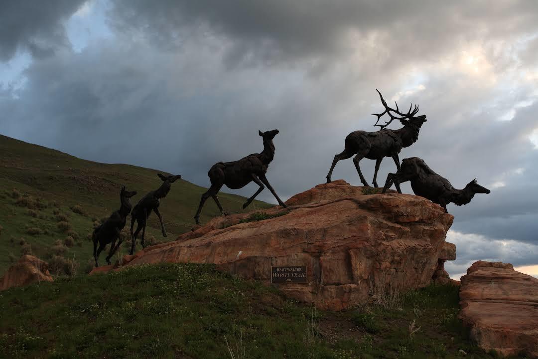 National Museum of Wildlife Art